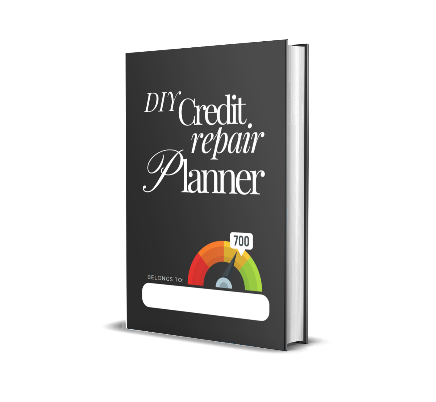 DIY Credit Repair Planner