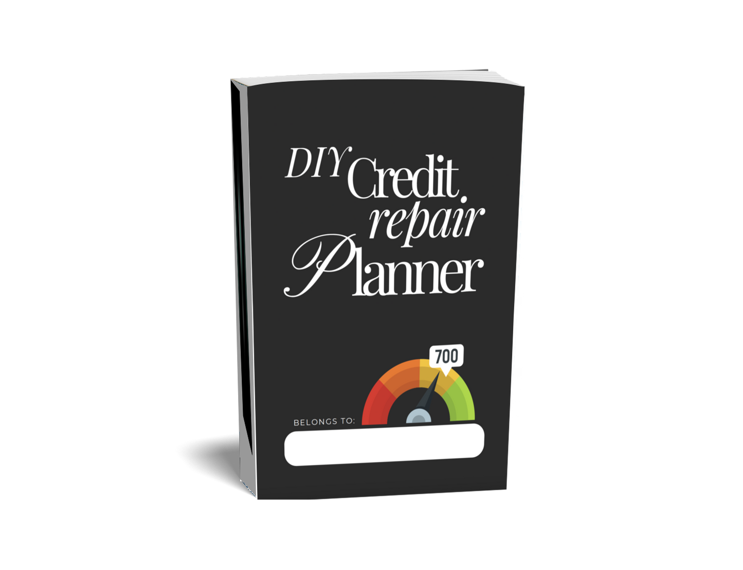 DIY Credit Repair Planner